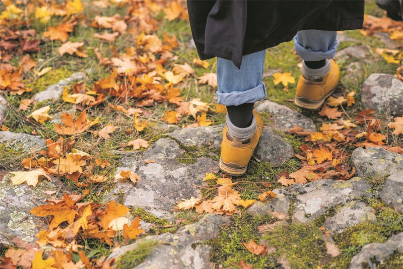 漫步在芬兰的秋季 © Rebecka ErikssonVisit Finland